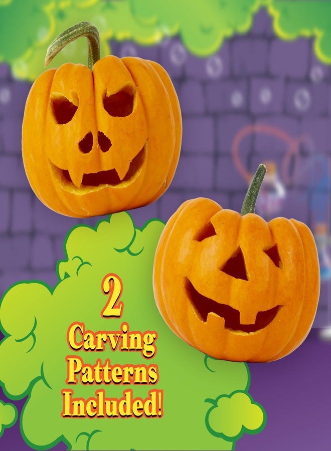 Pumpkin Masters Haunted Lab Lil' Oozing Mini Pumpkin Science Kit, 3 Oozing Packets Included, with Easy Clean-up Tray - Image 3